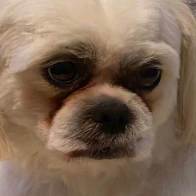 Davis - Twitter Profile Picture of Davis (@daveyTrann) on Twitter