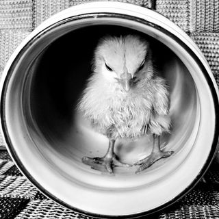 Profile Picture of Charles Newton (@newtonsusa607) on Instagram