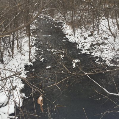 Profile Picture of Garrett Joyce (@GarrettJoyce6) on Twitter