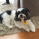 Profile Picture of fuchs_eddie (@fuchs_eddie) on Instagram