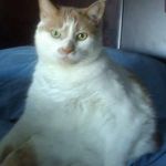 Jodi Rae Renner - Instagram Profile Picture of Jodi Rae Renner (@jrenner777) on Instagram