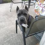 Profile Picture of Raelynn Rodriguez (@627raelynn) on Instagram