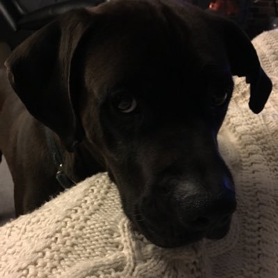 Profile Picture of Chris Doerksen (@ChrisDoerksen1) on Twitter