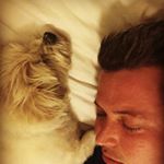 Profile Picture of Dave McDonald (@drdaveandthedog) on Instagram