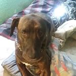 Profile Picture of Robert Loucks (@loucksrobert) on Instagram