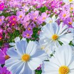 Val Carter - Instagram Profile Picture of Val Carter (@valcarter38) on Instagram