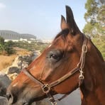 Profile Picture of Dave Farr (@Dave-Farr) on Facebook