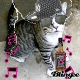 Profile Picture of Gato Rison (@434766412) on Myspace