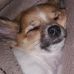 Profile Picture of Catherine Hulbert (@catherine.hulbert.58) on Facebook
