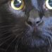 Profile Picture of Joseph Fonck (@joseph.fonck.3) on Facebook