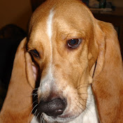 Keith Swartz - Youtube Profile Picture of Keith Swartz (@tsnow1069) on Youtube