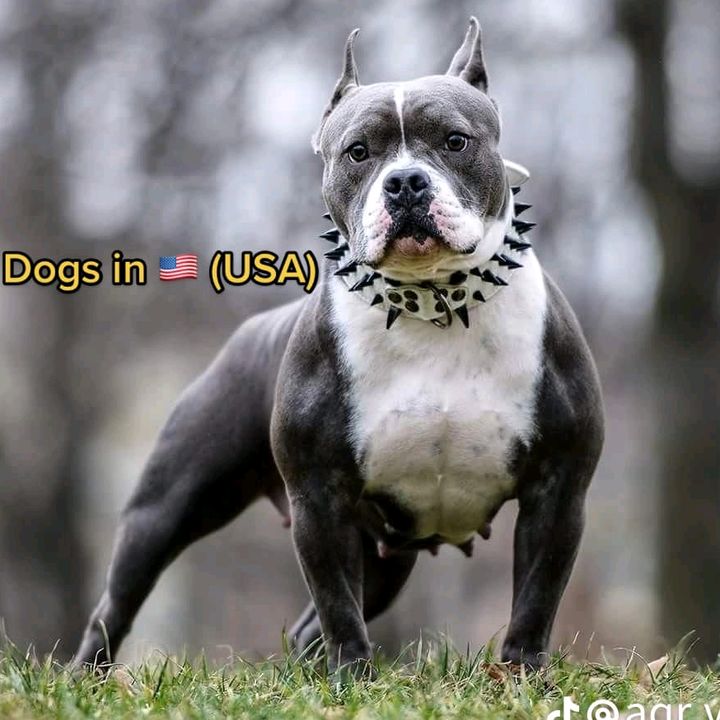 Profile Picture of Adam mccormick (@adammccormick22) on Tiktok