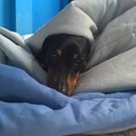 Profile Picture of Eric Jim (@ericjimcr) on Instagram
