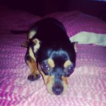 Profile Picture of Holloman Wendy (@jinhorrayshades) on Instagram