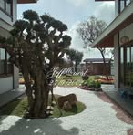 Profile Picture of Colt Hubert (@Colt-Hubert) on Facebook