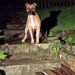 Profile Picture of Matthew Olley (@olleymatthew) on Instagram