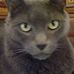 Profile Picture of Paul Vieth (@paul.vieth.5) on Facebook