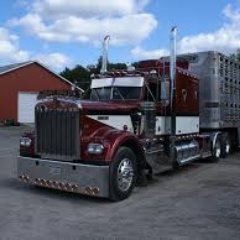 James Hambrick - Twitter Profile Picture of James Hambrick (@williejo148) on Twitter