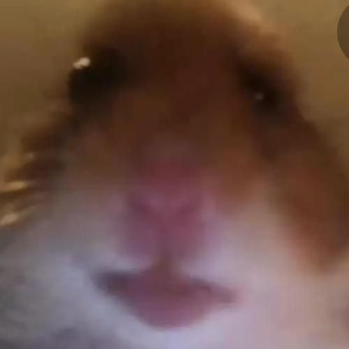 Profile Picture of Adam Zaragoza100 (@like.or.smallpp) on Tiktok