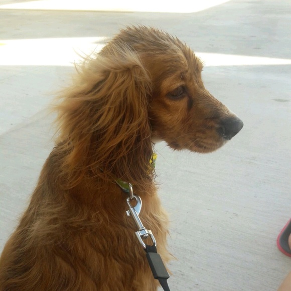 Profile Picture of Mike Juarez (@mikeajuarez) on Poshmark