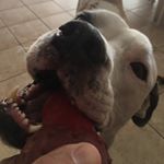 Profile Picture of David Hayden (@dmhay1973) on Instagram