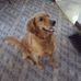 Profile Picture of Mark Kunerth (@mark.kunerth.3) on Facebook