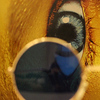 Profile Picture of Scott McIntosh (@Scott C McIntosh) on Flickr