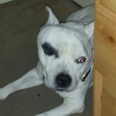 Profile Picture of Paul Westfall (@paulwestfall751) on Twitter