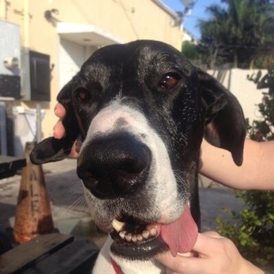 Profile Picture of Travis Kolowich (@Tkolowich) on Twitter