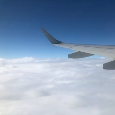 Profile Picture of Kevin Posadas (@killer_panda0) on Twitter