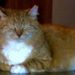 Profile Picture of Beth Carlton-Campbell (@carlton60) on Pinterest
