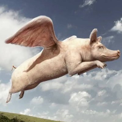 Profile Picture of David Green (@BeanLade) on Twitter