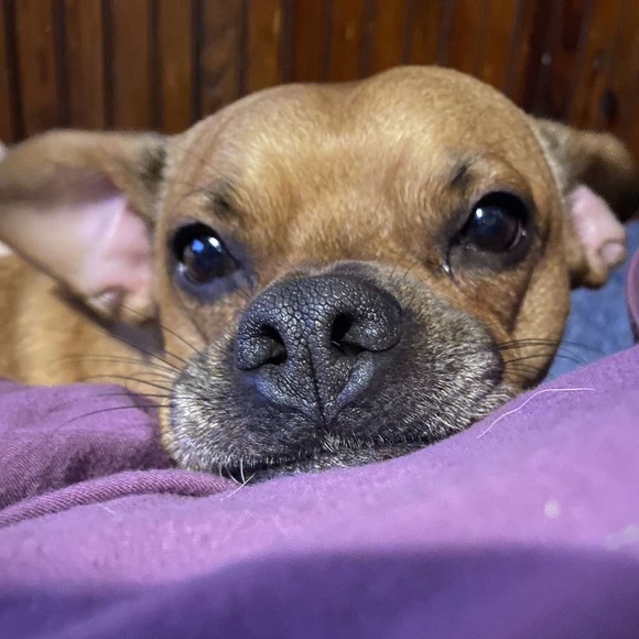 Profile Picture of Kierra Ieraci (@kierrakiki5) on Poshmark