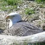 Profile Picture of Brian Jackle (@brianjackle) on Instagram