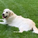 Profile Picture of Brian Cannella (@brian.cannella.75) on Instagram