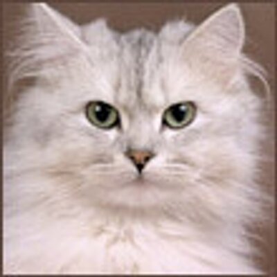 Profile Picture of Draveny6 (@max_nebel) on Twitter