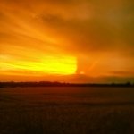 Profile Picture of Mark (@markmcgeehan) on Instagram