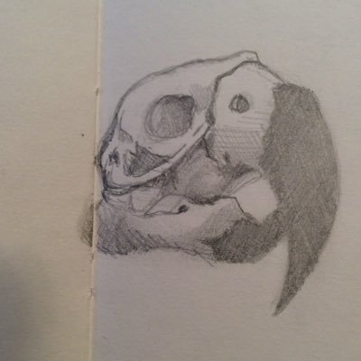 Profile Picture of Richard Zajac (@zajacs) on Twitter