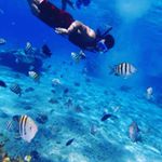 Jose_Isai_Villarreal - Instagram Profile Picture of Jose_Isai_Villarreal (@jose_isai_villarreal) on Instagram