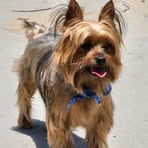 Profile Picture of Joy Strawbridge (@joy.strawbridge) on Facebook