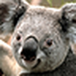 Profile Picture of Ocnkaoz (@ocnkaoz) on Flickr