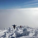 Profile Picture of Alex Mirabile (@amirbs12) on Instagram