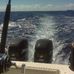 Profile Picture of David Everett Sr. (@david.everett.986) on Facebook