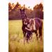 Profile Picture of Neele Claaßen (@Neele-Claaßen) on Facebook