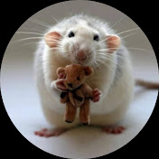 Profile Picture of Mousie (@156_mousie) on Youtube