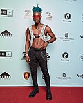 Profile Picture of Incredible Zigion Wikipedia
