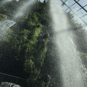 Profile Picture of sarah golombick (@sarahgolombick_) on Pinterest