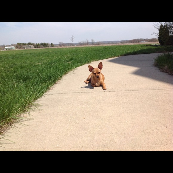 Profile Picture of Ann Davey (@adav) on Poshmark