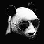 Andrew Meschwitzer - Instagram Profile Picture of Andrew Meschwitzer (@andrew_flamezz) on Instagram