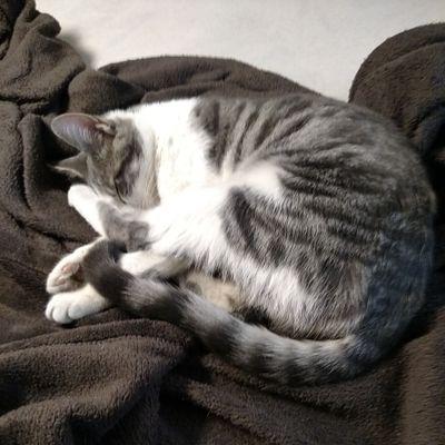 Profile Picture of James Curtin (@jamesbcurtin) on Twitter